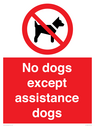 no-dogs-except-assistance-dogs~